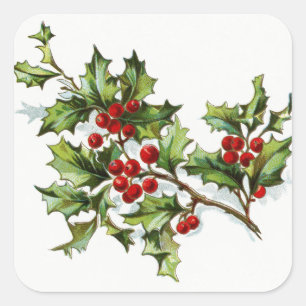 Adesivo Quadrado HollyBerries20150802