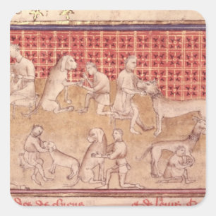 Adesivo Quadrado Homens cuidando de cães caçadores