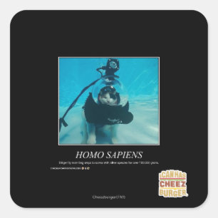 Adesivo Quadrado Homo Sapiens