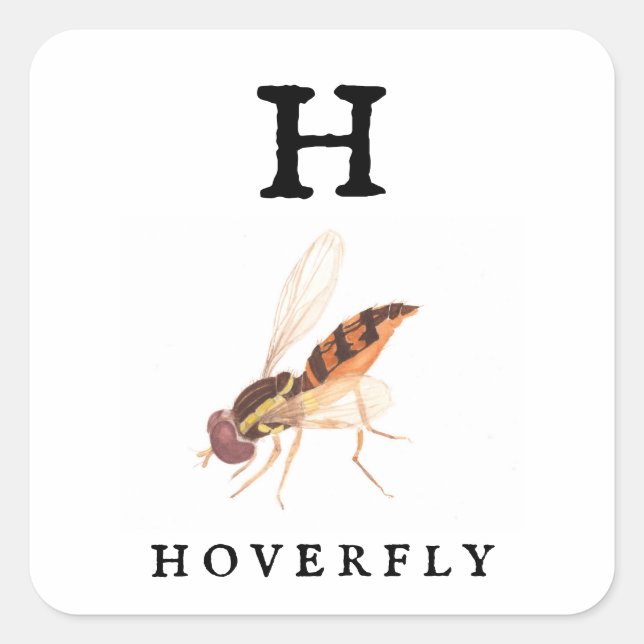 Adesivo Quadrado Hoverfly (Frente)