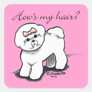 Adesivo Quadrado Hows de Bichon Frise meu cabelo