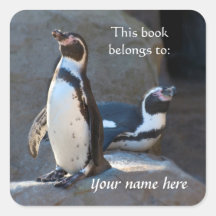 Humboldt Penguins "Este livro pertence a" Sticker