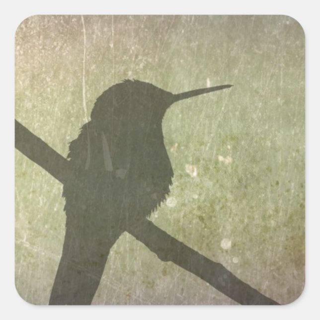 Adesivo Quadrado Hummingbird (Frente)