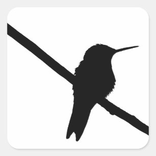 Adesivo Quadrado Hummingbird Silhouette