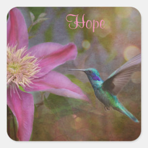 Adesivo Quadrado Hummingbird Sticker