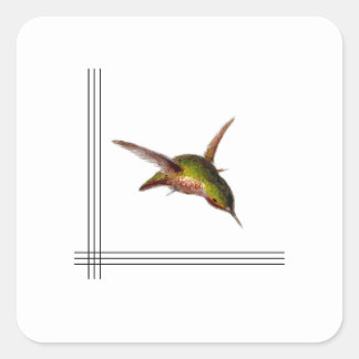 Adesivo Quadrado Hummingbird Sticker