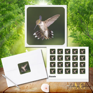 Adesivo Quadrado Hummingbird Trocado por Ruby