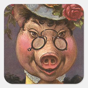 Adesivo Quadrado Humor vítreo, Bobo e doce vitoriano Lady Pig
