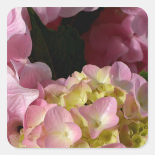 Adesivo Quadrado Hydrangeas Rosa e Cream
