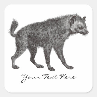Adesivo Quadrado Hyena Stickers