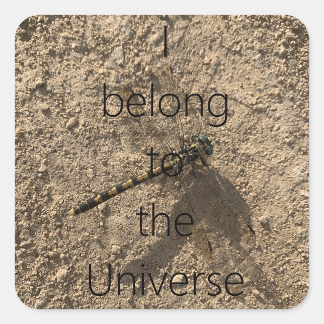 Adesivo Quadrado I belong to the Universe - Sticker (Frente)