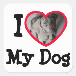 Adesivo Quadrado I Love (Heart) My Dog Personalized Photo Stickers