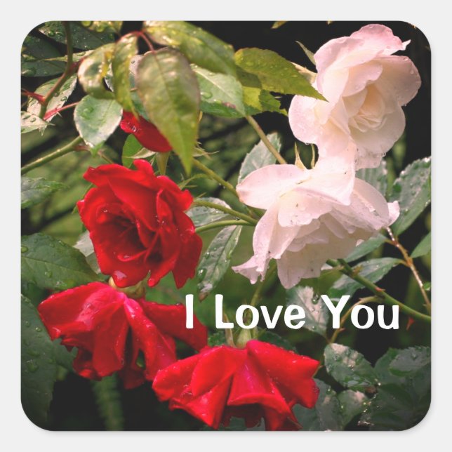 Adesivo Quadrado I Love You Drenched Roses Floral (Frente)