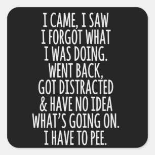 Adesivo Quadrado Idoso Eu Vim Eu Vi Eu Esqueci O Que Eu Era 