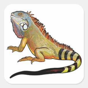 Adesivo Quadrado iguana verde