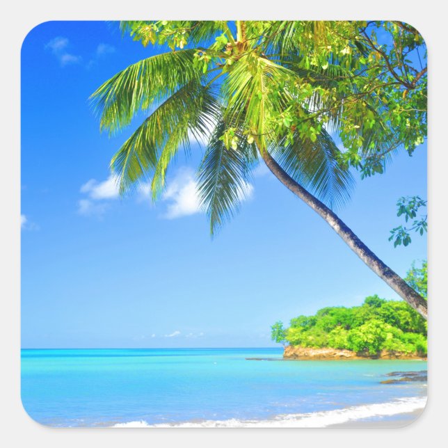 Adesivo Quadrado Ilha Tropical (Frente)