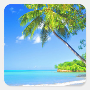 Adesivo Quadrado Ilha Tropical
