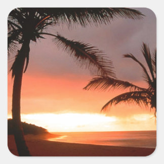 Adesivo Quadrado Ilha Tropical Palms República Dominicana