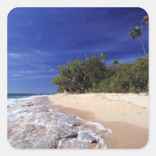 Adesivo Quadrado Ilhas Fiji, Tavarua. Esta praia em Tavarua.