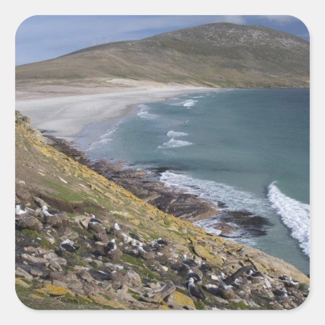 Adesivo Quadrado Ilhas Malvinas, Malvinas Ocidental, Saunders (Frente)