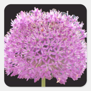 Adesivo Quadrado Illium Summer Primavera Flor - Design irlandês