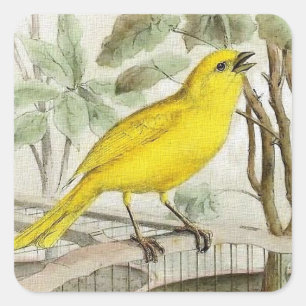 Adesivo Quadrado Ilustração amarela do vintage