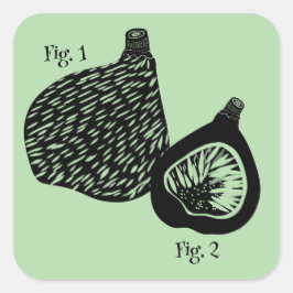 Adesivo Quadrado Ilustração Científica Engraçada de Figo
