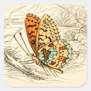 Adesivo Quadrado Ilustração da Borboleta Vintage, Laranja e bege