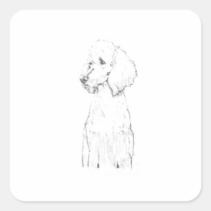 Adesivo Quadrado Ilustração de Cão Poodle Padrão