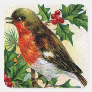 Adesivo Quadrado Ilustração de Robin Vintage de Natal
