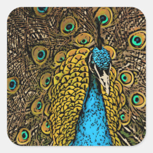Adesivo Quadrado Ilustração do esplendor do pavão