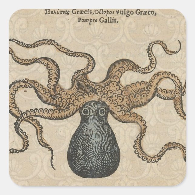 Adesivo Quadrado Ilustração Octopus Kraken Vintage (Frente)