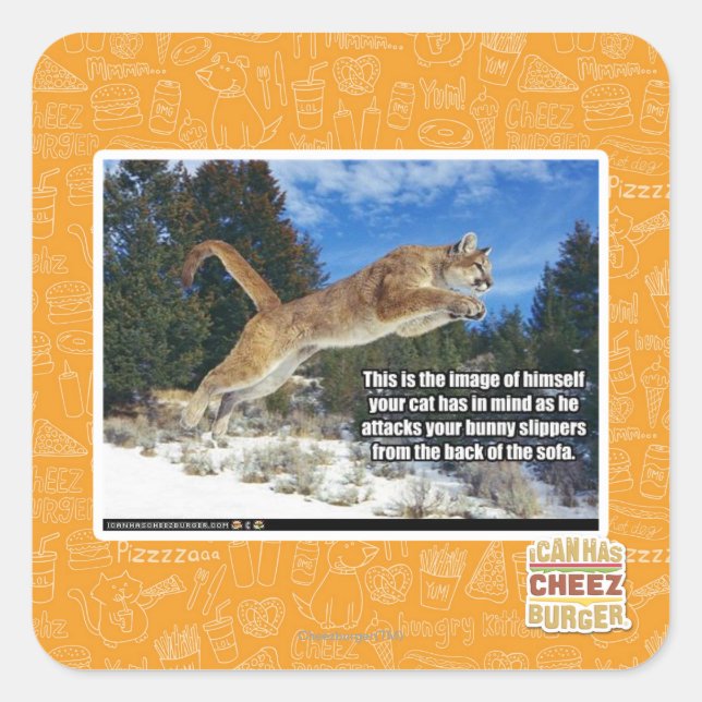 Adesivo Quadrado Imagem de Cat (Frente)