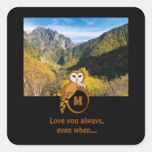 Adesivo Quadrado Imagem de Ovo Adorável de Coruja Britânica Nest Mo