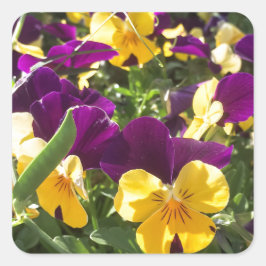 ADESIVO QUADRADO IMG_4738.JPG