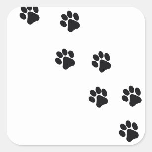 Adesivo Quadrado Impressão da pata do cão engraçado