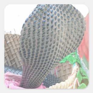 Adesivo Quadrado Impressão de Arte Cobra na Cesta