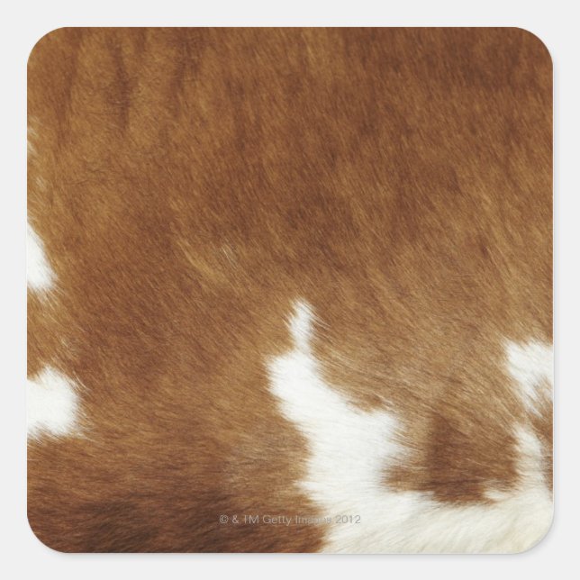 Adesivo Quadrado Impressão de Cowhide Castanho (Frente)