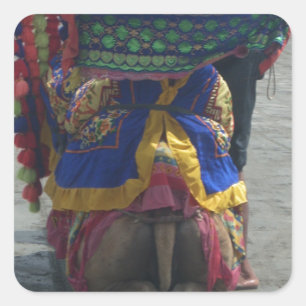 Adesivo Quadrado Impressão/Gráfico Whimsical Camel Art