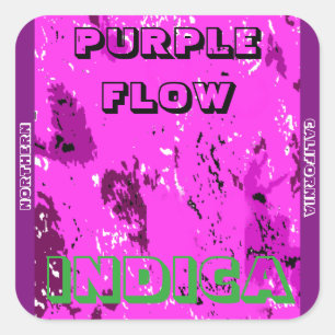ADESIVO QUADRADO INDICA DE FLOR PURPURA