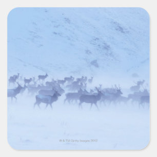 Adesivo Quadrado Inglaterra