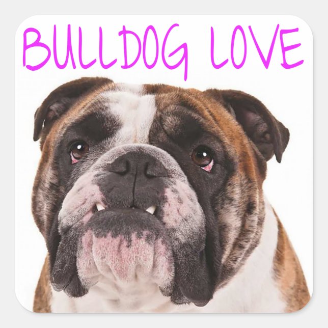 Adesivo Quadrado Inglês Buldogue Puppy Dog Purple Love (Frente)