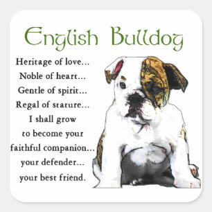 Adesivo Quadrado Inglês Bulldog Heritage of Love