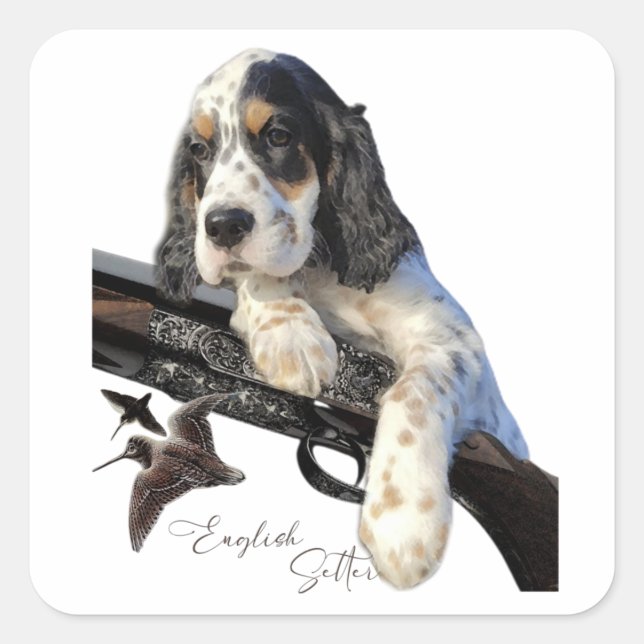 Adesivo Quadrado Inglês Setter, cachorrinho fofo (Frente)