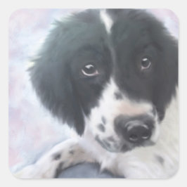 Adesivo Quadrado Inglês Springer Spaniel