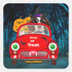 Adesivo Quadrado Inglês Springer Spaniel cão Carro Assustado Hallow