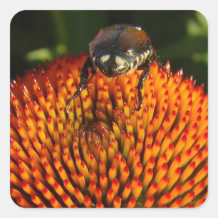 Adesivo Quadrado Inseto na Flor