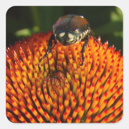 Adesivo Quadrado Inseto na ventoinha