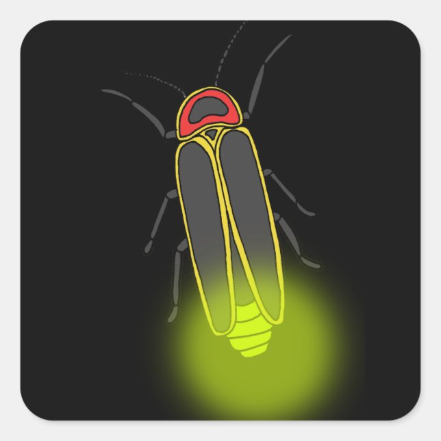 Adesivo Quadrado inseto relâmpago aceso (Frente)