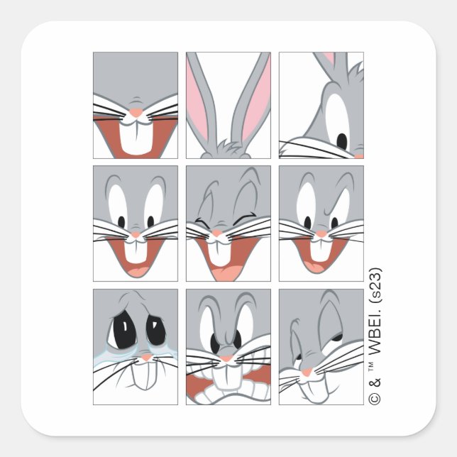 Adesivo Quadrado INSETOS BUNNY™ Expression Blocks (Frente)